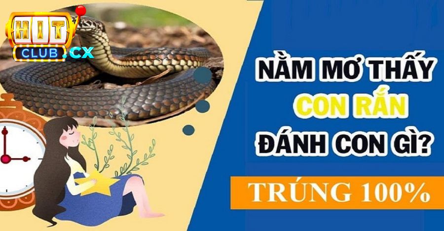 Mơ thấy rắn trắng chứng tỏ rằng, mọi người xung quanh đang giúp đỡ bạn về mọi mặt